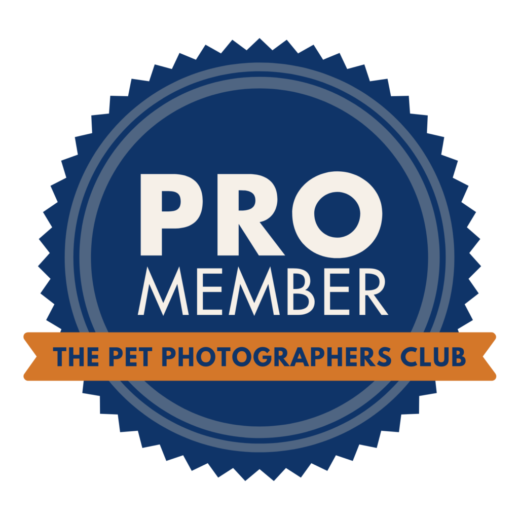 Pro Member van de internationale Pet Photographers Club - Hondenfotografie Club